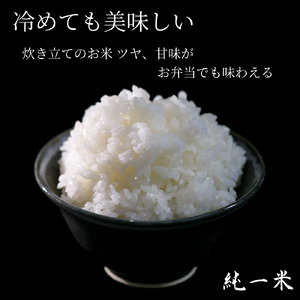 【令和７年産】兵庫県丹波篠山産 〈12ヶ月定期便〉コシヒカリ10kg（10kg×12回） DS100