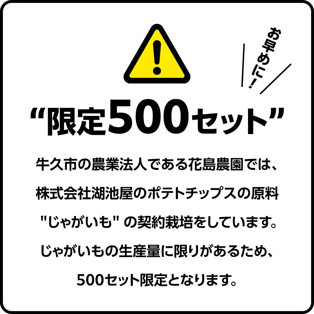 【最短3営業日！スピード発送】 湖池屋 ポテトチップス 2種類アソート （じゃがいもと塩・ガーリック）（各12袋・計24袋） ポテチ お菓子 おかし 大量 スナック おつまみ ジャガイモ じゃがいも まとめ買い スナック菓子 数量限定
