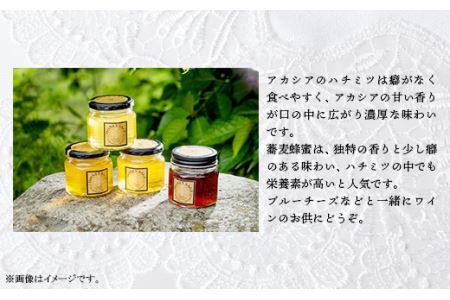 2706 HONEY SAGE ハチミツ2種セット（アカシア蜂蜜・そば蜂蜜）
