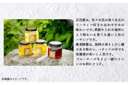 2707 HONEY SAGE ハチミツ2種セット（百花蜜・そば蜂蜜）