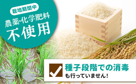 【12回定期便】 栽培期間中 農薬・化学肥料不使用 自然米 白米 3kg（ヒノヒカリ 1kg×3袋）/自然庵 [UCQ016]