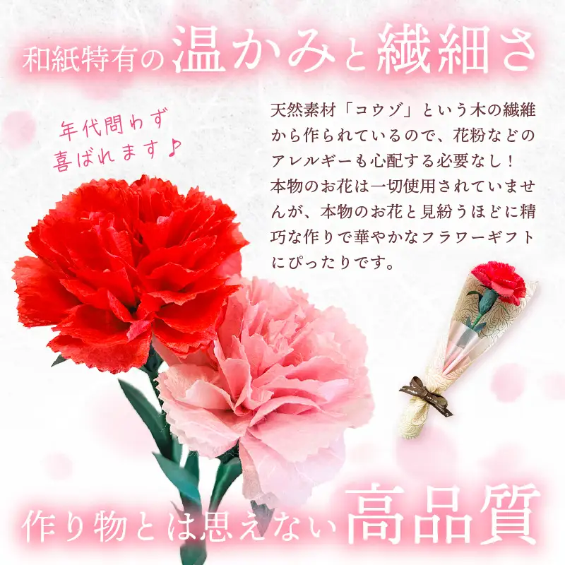 【先行予約】【母の日限定】母の日ギフト 越前和紙カーネーション 永遠の感謝 プレゼント【カラー赤】【2027年5月発送】  [e51-a004_01]
