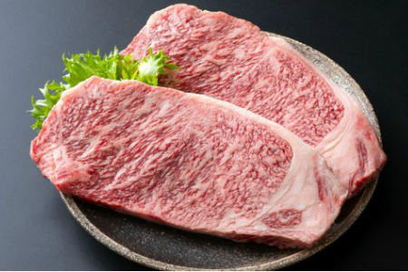 大人2名に最適!芳醇な脂の豊後牛定期便/計3回発送 _1225R