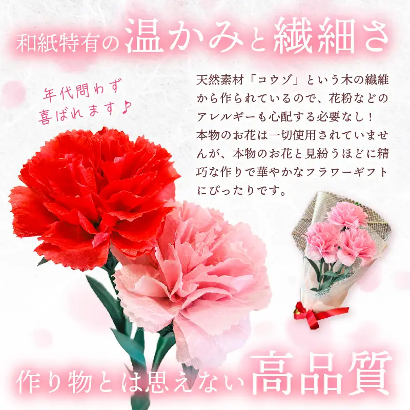 【先行予約】【母の日限定】母の日ギフト 越前和紙カーネーション1束 永遠の感謝 プレゼント【カラー赤】【2027年5月発送】 [e51-a005_01]