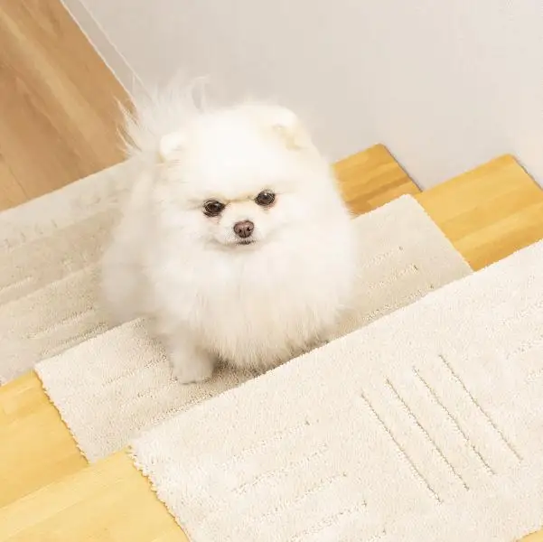 洗える階段マット 22×45cm ベージュ 5枚組 ピタペトモ 犬・猫 吸着