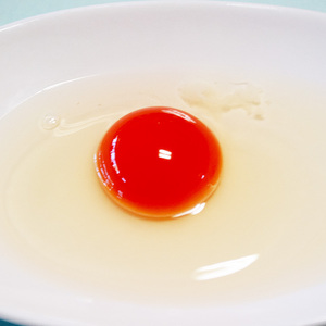 烏骨鶏　濃厚な黄身！爽やかな白身が自慢！【烏骨鶏輝翔卵】20玉 ◇ ※離島への配送不可