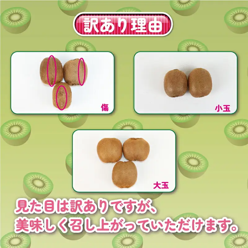 訳あり キウイ フルーツ 5kg 吉田農園 グリーンキウイ ヘイワード キウイフルーツ デザート スイーツ 愛媛県産 訳アリ 訳あり品 訳有り わけあり 果物 くだもの 農家直送 産地直送 数量限定 国産 愛媛 宇和島 F012-160003