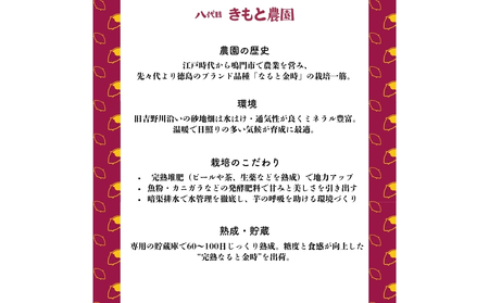 【予約受付中・2026年9月下旬頃より順次発送】【木元農園】八代目の なると金時 約3kg  | 鳴門金時 甘い ホクホク 熟成 産地直送 スイーツ おやつ 焼きいも 天ぷら 干し芋 スイートポテト 離乳食　さつまいも