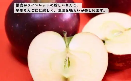 りんご 秋映 約3㎏ 贈答 / 2026年10月上旬頃～配送予定// 長野県 松川町産 ギフト 贈答 リンゴ 林檎 あきばえ 農家直送 農家支援 産地直送