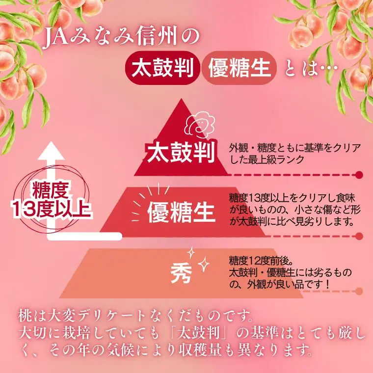 JA01　桃 あかつき 約2kg / 2027年7月中旬～7月下旬頃配送予定//贈答 センサ ー選別 糖度センサー 桃 もも 果物 フルーツ ギフト あかつき 太鼓判 優糖生