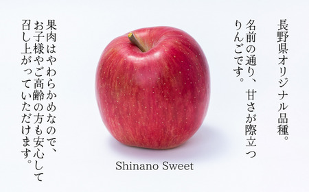 JA13　りんご シナノスイート 約5kg ／ 10月中旬ごろ配送予定 // 長野県 贈答 南信州産 長野県オリジナル品種 甘い 新鮮 スイート リンゴ 厳選 りんご三兄弟