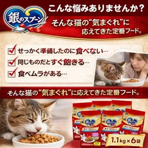 銀のスプーン 贅沢うまみ仕立て 下部尿路の健康維持用 1歳～10歳頃まで 1.1kg×6袋【1732804】