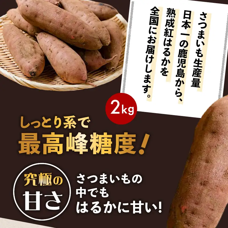 焼き芋 さつまいも 紅はるか 生芋  2kg 【畑の金貨】 K181-004