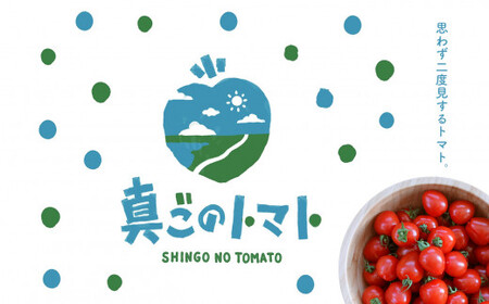 ミニトマト トマトベリー 約1.8kg｜坂本農園