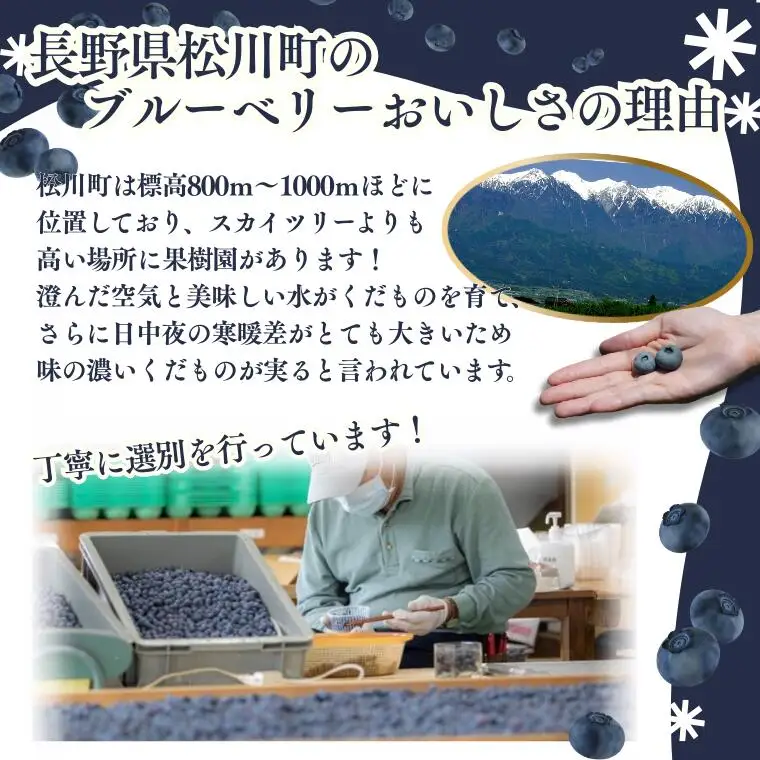 KB05 冷凍ブルーベリー 約1kg【2Lサイズ以上】／2026年8月上旬頃から順次発送｜ 長野県 南信州 松川町 摘みたて 朝摘み 新鮮 安全 産地直送 農家直送 大粒 2Lサイズ以上 冷凍 ブルーベリー 果物 フルーツ