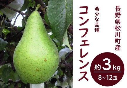 KL08 洋梨 コンフェレンス 約3kg 贈答 松川町産／2026年9月下旬頃から配送予定 // 長野県 南信州 松川町 洋梨 コンフェレンス 洋梨世界会議 希少品種 農家直送 贈答 果物 フルーツ