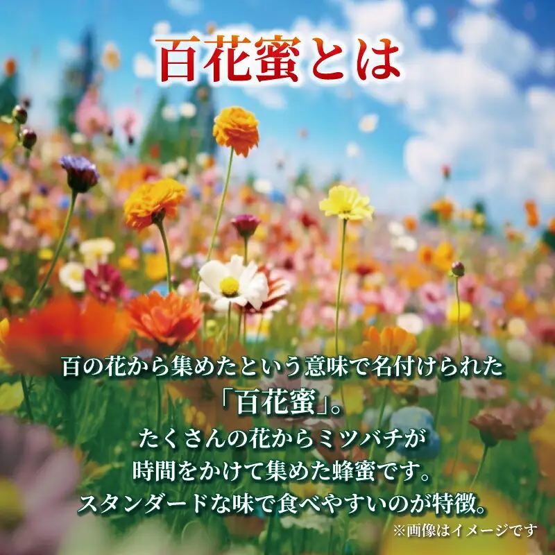 百花蜜 1kg ギフト箱入 元気や 非加熱 はちみつ 国産はちみつ 百花蜂蜜 純粋はちみつ 生はちみつ 生蜂蜜 蜂蜜 ハニー ギフト プレゼント 贈答用 数量限定 産地直送 国産 愛媛 宇和島 F023-176002