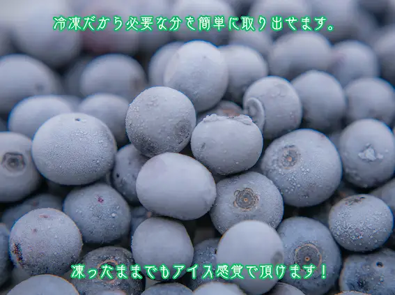 （冷凍） 三重県度会町産の有機栽培 自然の恵みを受け甘く育った ブルーベリー ５００ｇ ／ 貴の園 フルーツ 果物 国産 三重県 度会町
