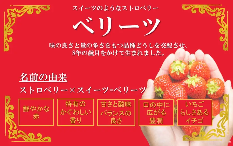 大分県ブランドいちご/スイーツみたいな「ベリーツ」540g（270g×2P）_2338R