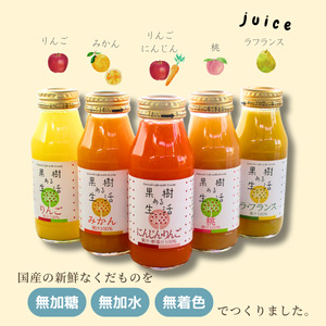 国産果汁100%ジュース＆スムージーセット（180ml×10本）［NH04］// 長野県 南信州 ストレートスムージー ストレートジュース 無加糖 無塩 香料不使用 着色料不使用 保存料不使用 天皇杯 農水大臣賞