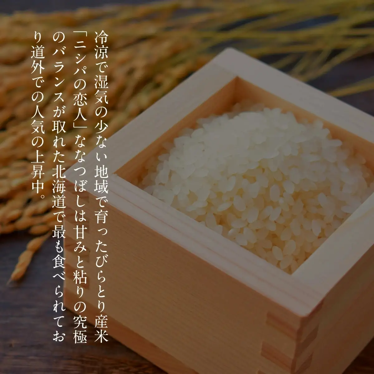 【令和7年産新米】北海道で１番人気！「ニシパの恋人」ななつぼし10kg（10kg×1） BRTH014