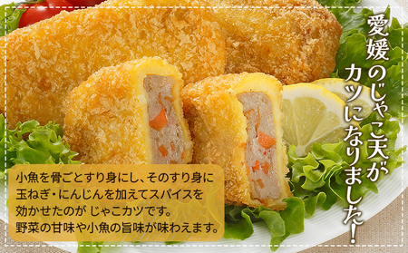 ＜じゃこカツ小判（未加熱）5個入り×2袋＞ 合計10個 お惣菜 小魚 さかな 魚介 すり身 じゃこ天 フライ 揚げ物 加工品 特産品 おつまみ おかず お弁当 バーガー カレー 国産 おがた蒲鉾 愛媛県 西予市 【冷凍】『1か月以内に順次出荷予定』UOK0005