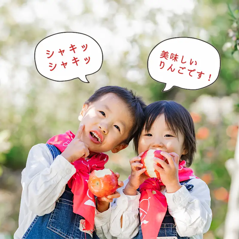 令和8年産 樹上完熟 りんご 3kg 秀品 「ふじりんご」 2026年産 山形県産【2026年11月下旬頃から12月下旬頃発送予定】　014-B-NG007