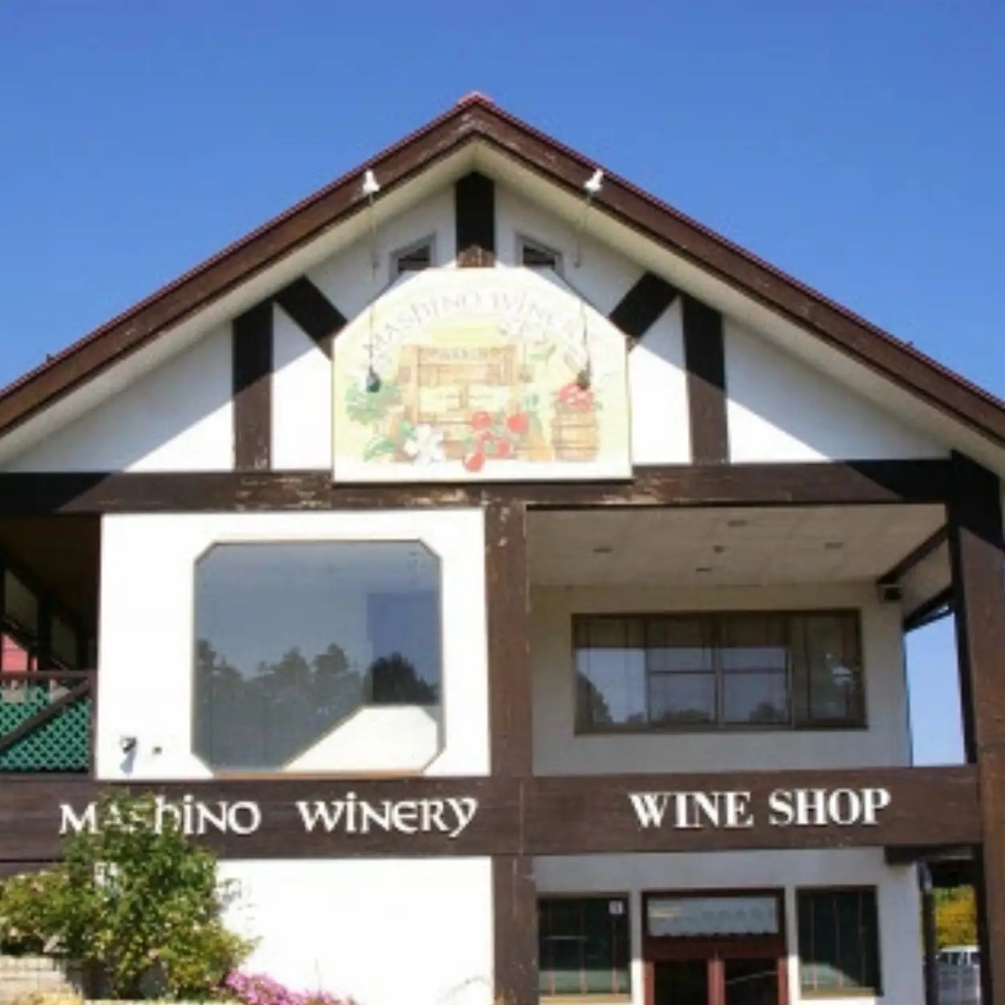 MW12 山葡萄ワイン2種セット（500ml×2本）// 長野県 南信州 山ぶどう 山葡萄 贈答 ギフト 稀少 甘口ワイン 辛口ワイン