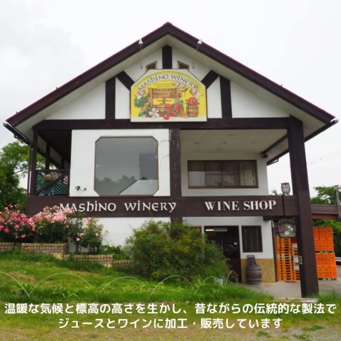 MW15 信州産 フルーツジュースセット（ふじ／桃／洋梨 500ml×3本）// 長野県 南信州 国産 ストレートジュース フジ  もも ピーチ 洋なし りんご リンゴ 果汁100％ 保存料不使用