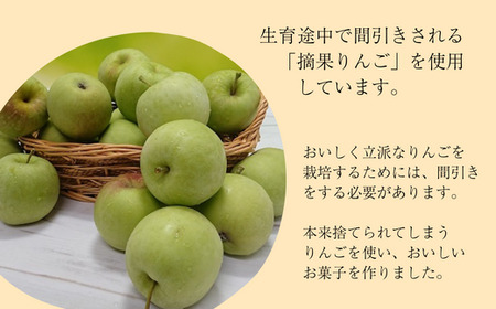 MZ02【ドライりんご】さわやか青りんご 30g×10袋 // 長野県 南信州 ドライフルーツ フードロス 食品ロス 自然のおやつ りんごのお菓子 お土産 青りんご