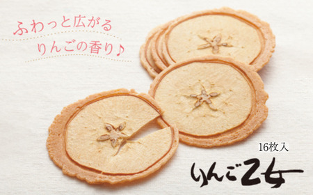 MZ04　南信州りんごのお菓子詰合せ // 長野県 南信州 ギフト 贈答 お菓子 銘菓 お土産 りんごのお菓子 アップルパイ りんごせんべい ドライフルーツ 青りんご 食品ロス フードロス 詰め合わせ 食べ比べ 優秀味覚賞
