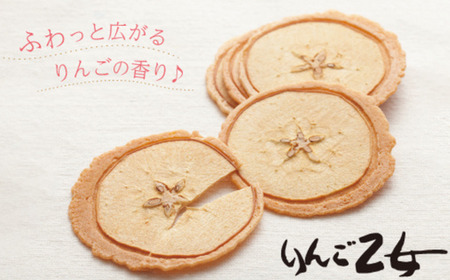 MZ05　りんご乙女 8枚×3箱 // 長野県 南信州 りんごのお菓子 薄焼きクッキー りんごせんべい フードロス 食品ロス 銘菓 お土産 ギフト 優秀味覚賞