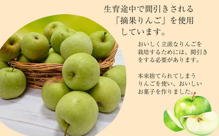 MZ06　りんご乙女 16枚×2箱 // 長野県 南信州 りんごのお菓子 薄焼きクッキー りんごせんべい フードロス 食品ロス 銘菓 お土産 ギフト 優秀味覚賞