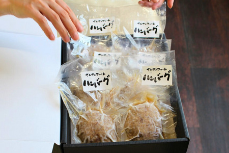 SF04　無添加！さんさん豚ハンバーグセット／(110g×6ヶ入)【化学調味料不使用】//長野県産豚肉 南信州 ポーク バークシャー種 安全 安心 冷凍 贈答 ギフト