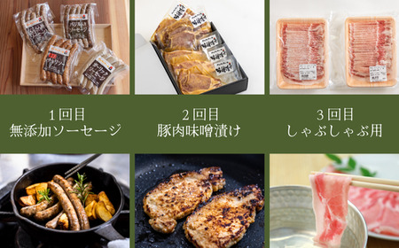 SF06　さんさん豚3回お届けコース ／（翌月より3ヶ月）// 長野県産豚肉 南信州 ポーク ステーキ バークシャー種 薄切り 味噌漬け 安全 安心 定期便 毎月届く 贈答 ギフト