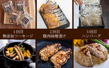 SF07　さんさん豚6回お届けコース／（翌月より6ヶ月）// 長野県産豚肉 南信州 ポーク ステーキ バークシャー種 薄切り 味噌漬け 安全 安心 定期便 毎月届く 贈答 ギフト