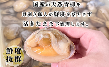 岬だより 貝専門店 天然の青柳小柱　100g×5袋 [配送不可地域：離島]