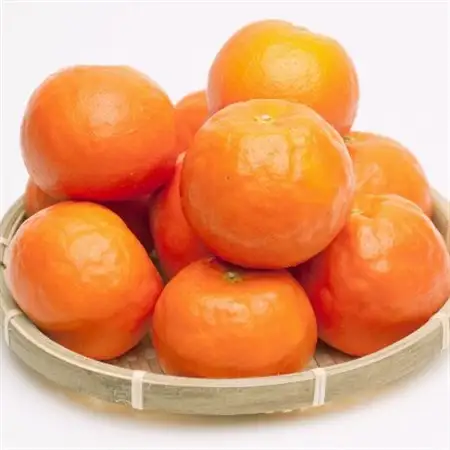 厳選 セミノールオレンジ2.5kg+250g(傷み補償分)【春みかん】【有田産】【光センサー選果】【1241531】