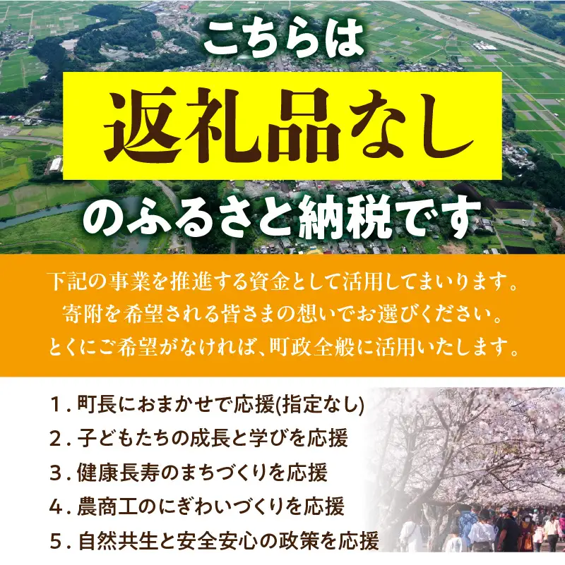 寄附のみの応援受付(返礼品はございません) 寄附額1,000円_kn001-001