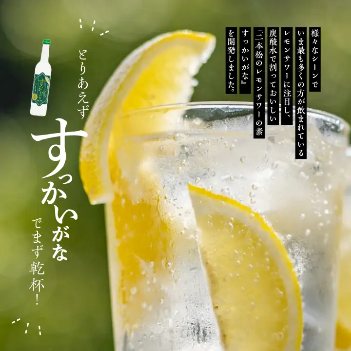 奥の松酒造「すっかいがな」500ml×6本【道の駅「安達」智恵子の里】