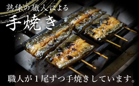 うなぎ 蒲焼 特大 2尾 約500g うなぎ