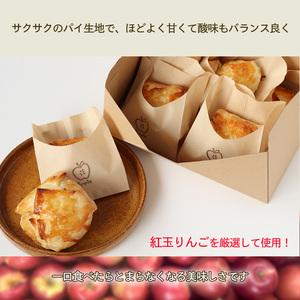 アップルパイ 10個 セット｜りんご アップルパイ アップルパイアップルパイアップルパイアップルパイ【AKR0012】