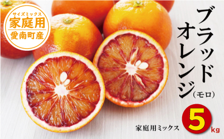 ブラッドオレンジ 5kg （ 家庭用 ミックス ） 10000円 （発送期間：1月下旬～無くなり次第終了） みかん オレンジ おれんじ タロッコ モロ イタリア 高級 ブランド 家庭用 産地直送 国産 農家直送 糖度 果樹園 期間限定 数量限定 特産品 ゼリー ジュース 人気 限定 さわやか 甘い 新鮮 果実 果肉 フルーツ 果物 柑橘 蜜柑 規格外 サイズ ミックス 愛媛県 愛南町 果樹園みどり みかん ﾌﾞﾗｯﾄﾞｵﾚﾝｼﾞ みかん ﾌﾞﾗｯﾄﾞｵﾚﾝｼﾞ みかん ﾌﾞﾗｯﾄﾞｵﾚﾝｼﾞ みかん ﾌﾞﾗｯﾄﾞｵﾚﾝｼﾞ みかん ﾌﾞﾗｯﾄﾞｵﾚﾝｼﾞ みかん ﾌﾞﾗｯﾄﾞｵﾚﾝｼﾞ みかん ﾌﾞﾗｯﾄﾞｵﾚﾝｼﾞ みかん ﾌﾞﾗｯﾄﾞｵﾚﾝｼﾞ みかん ﾌﾞﾗｯﾄﾞｵﾚﾝｼﾞ みかん ﾌﾞﾗｯﾄﾞｵﾚﾝｼﾞ みかん ﾌﾞﾗｯﾄﾞｵﾚﾝｼﾞ みかん ﾌﾞﾗｯﾄﾞｵﾚﾝｼﾞ みかん みかん
