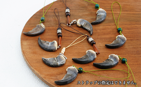 北海道枝幸産 ヒグマの爪ストラップ 4cm前後 【 くま 熊 ヒグマ 羆 アクセ スマホ ファッション小物 アクセサリー 民芸品 工芸品 伝統技術 北海道 オホーツク 枝幸 】