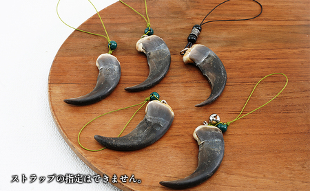 北海道枝幸産 ヒグマの爪ストラップ 6.5cm前後【 くま 熊 ヒグマ 羆 アクセ スマホ ファッション小物 アクセサリー 民芸品 工芸品 伝統技術 北海道 オホーツク 枝幸 】