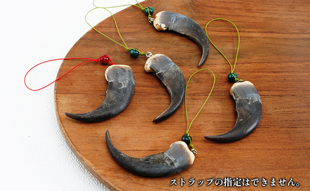 北海道枝幸産 ヒグマの爪ストラップ 7cm前後【 くま 熊 ヒグマ 羆 アクセ スマホ ファッション小物 アクセサリー 民芸品 工芸品 伝統技術 北海道 オホーツク 枝幸 】