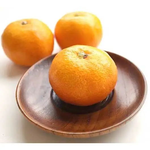 【2026年先行予約】ハウスみかん 二種 食べ比べ 6パック 【ミカン 蜜柑 柑橘 温州みかん 有田みかん 和歌山】_BF6058
