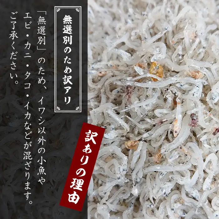 【訳アリ】淡路島産 無選別ちりめん 600g（100g×6袋）