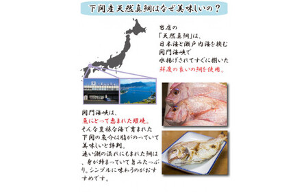 鯛 カルパッチョ 200g 煮 穴子 付き 鍋 鯛しゃぶ 冬 夏 高級魚 海鮮 魚 天然 真鯛 タイ 下関 山口 AU504