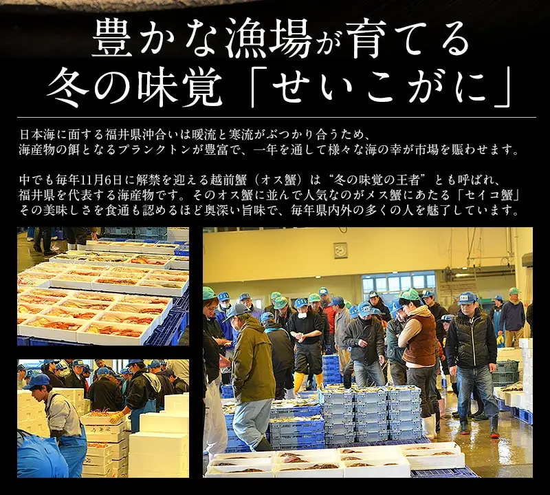 セイコ蟹甲羅盛り 約70g × 3個 セット [053-a006]